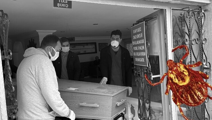 Kene yine can aldı: Şehirde hayatını kaybedenlerin sayısı 8 oldu