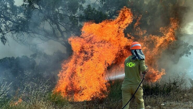 Muğla ve Aydın’da orman yangınları başladı!