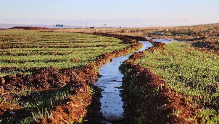 Önce kuraklık şimdi dolu vurdu