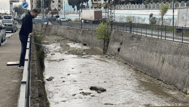 Rize’de derede balık ölümlerine inceleme