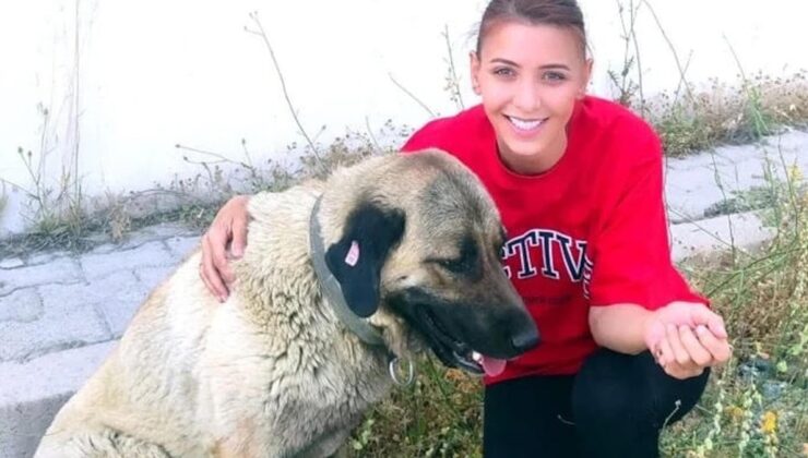 Sokak köpeklerini kurtardığı için 105 bin TL ceza kesilmişti… Cezaya itiraz etti