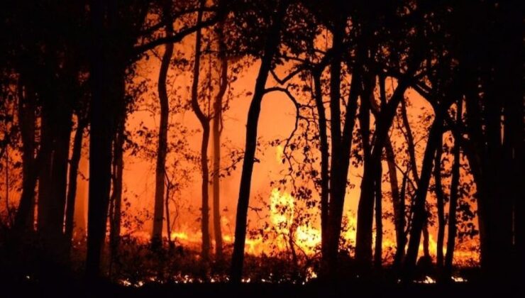 Türkiye’de bugün 67 orman yangını çıktı