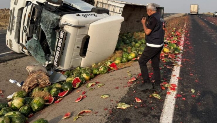 Yüzlerce karpuz yola saçıldı!