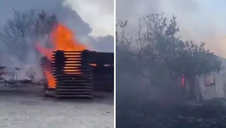 Antalya’da çıkan yangın fabrikaya sıçradı
