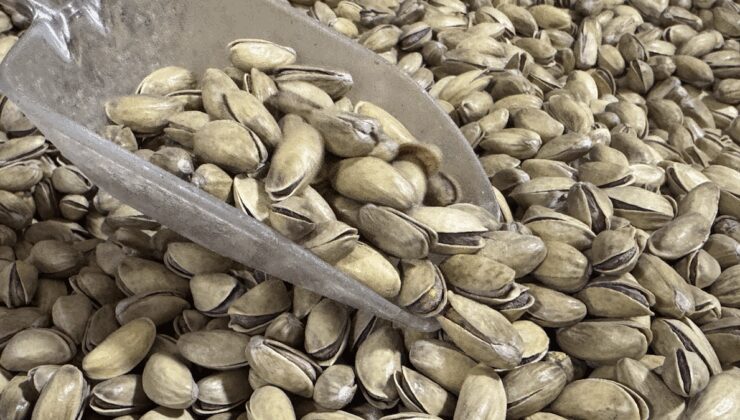 Antep fıstığı ihracatı yılın ilk yarısında arttı