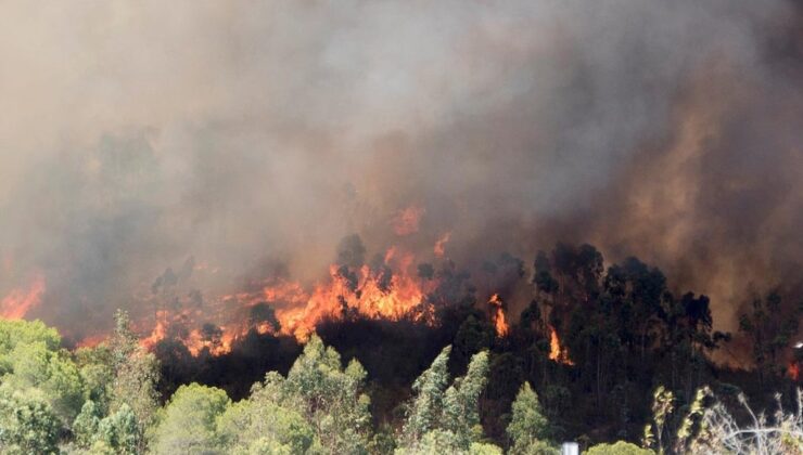 Arazi sahiplerine ’10 metre yasağı’ geldi: Son tarih 2 Ağustos