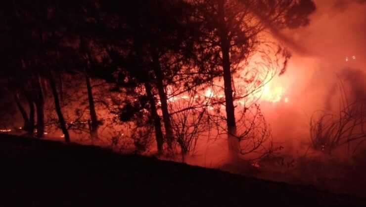 Bolu’da örtü yangını! Alevler kontrol altına alındı