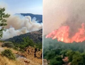Bursa-Balıkesir sınırında orman yangını! Bir mahalle tahliye edildi