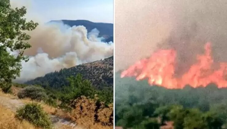 Bursa-Balıkesir sınırında orman yangını! Bir mahalle tahliye edildi