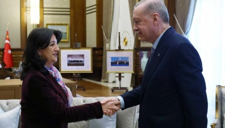 DEM Parti İmralı heyeti, Erdoğan’la görüşecek