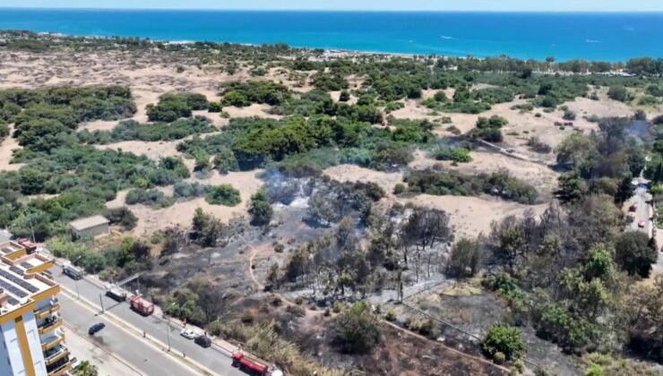 Dünyada sadece bir yerde yetişiyordu… Antalya’daki yangın o türü bitirdi!