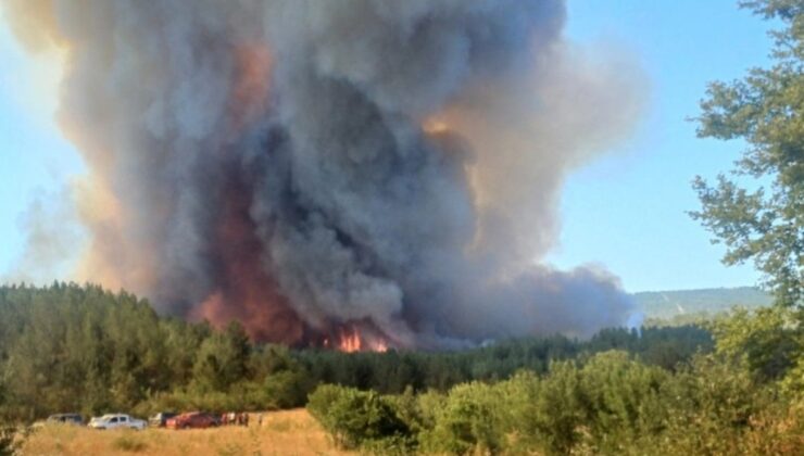 Evlendikten 10 gün sonra yangında şehit oldu