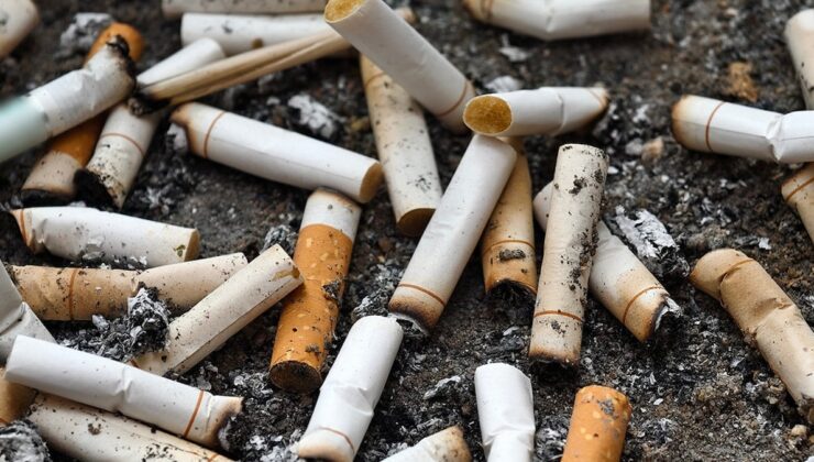 Halk Sağlığı Genel Müdürü yasağı hatırlatarak duyurdu:  Sigara içen bireye de cezai işlem uygulanacak