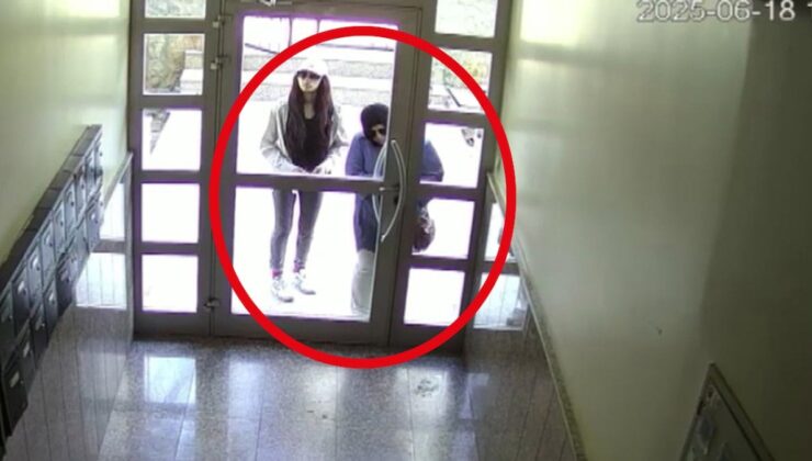 İstanbul’u birbirine katan suç makineleri yakalandı