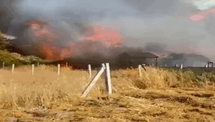 İzmir’deki yangında 8 ev zarar gördü