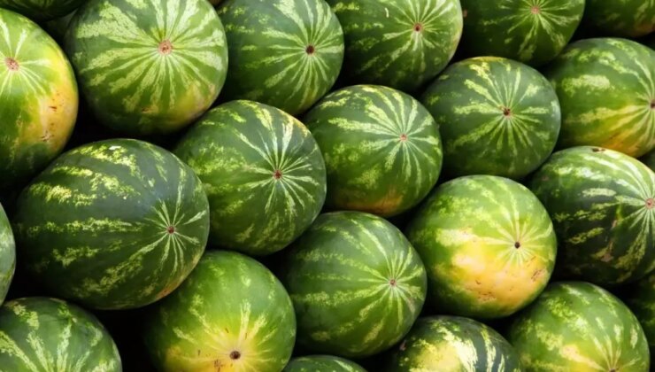 Karpuzdaki büyük tehlike: Bunu yapmadan sakın yemeyin