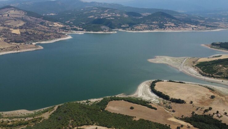 Korkutan tablo: 2 ayda yarı yarıya düştü