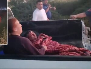 Manavgat’ta aslanın kaçtığı park mühürlendi