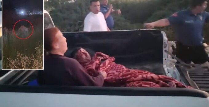 Manavgat’ta aslanın kaçtığı park mühürlendi