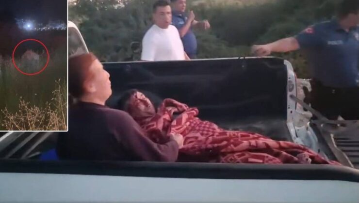 Manavgat’ta aslanın kaçtığı park mühürlendi