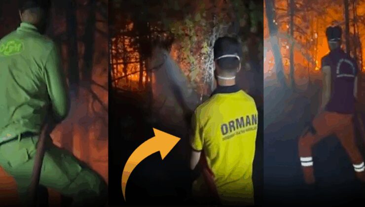 Orman Bakanlığı paylaştı: Bu görüntülere yüzlerce soru yağdı