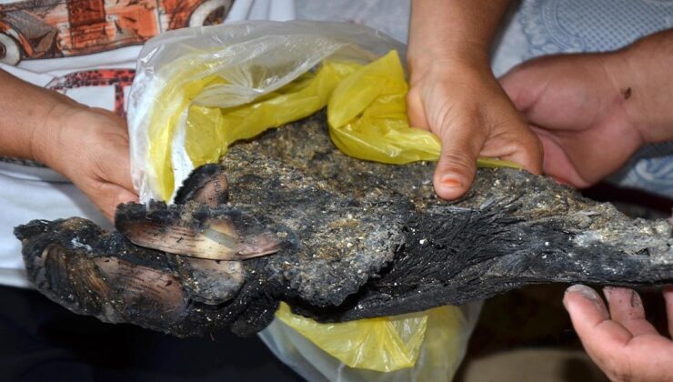 Orman yangınlarında tüm birikimlerini kaybettiler