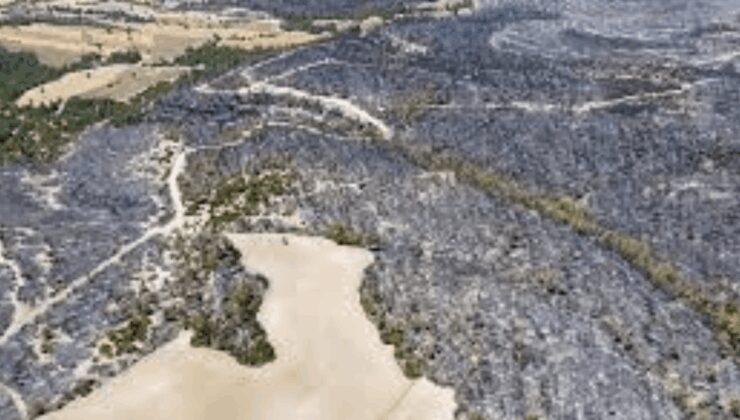 Orman yangınlarının acı tablosu havadan görüntülendi