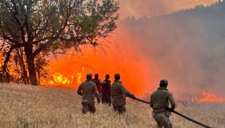 Orman yangınlarıyla ilgili 4 kişi tutuklandı