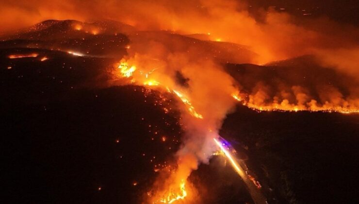 Saray’dan ‘orman yangınları’ açıklaması: ‘Tavizsiz bir FETÖ temizliği başlatılmalıdır’