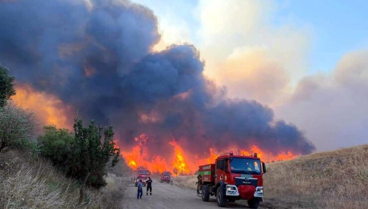 Tekirdağ’da orman yangını! Bir mahalle boşaltılıyor