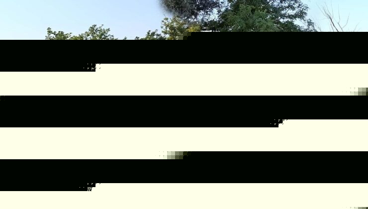 Yolcu otobüsü ağaçlara çarptı: Çok sayıda yaralı var