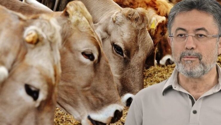 60 yıl sonra ilk kez görüldü! Bakan Yumaklı’dan endişelendiren açıklama