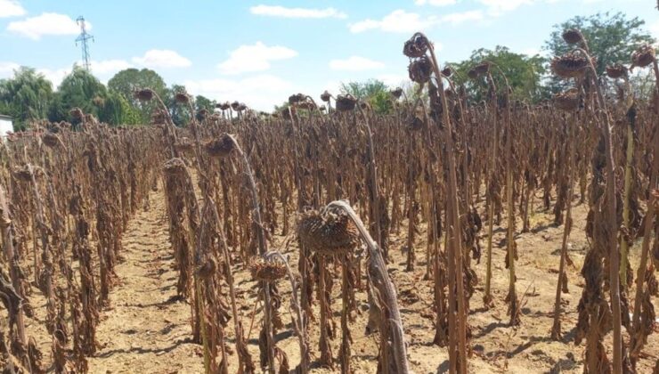 Adana, Kırklareli ve Edirne’den teker teker kötü haberler geliyor