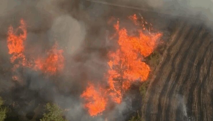 Adana’nın İmamoğlu ilçesindeki yangın kontrol altına alındı