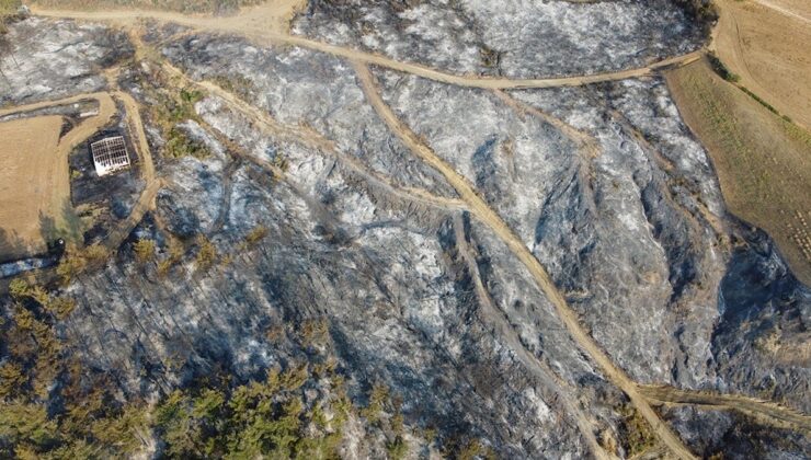 Çanakkale’de orman yangını kontrol altında: 126 kişi tahliye edildi