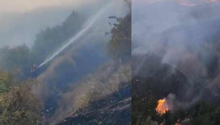 Diyarbakır-Bingöl sınırında orman yangınına müdahale sürüyor