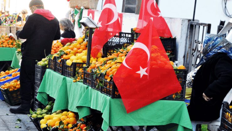 Ege Bölgesi Narenciye Rekoltesi 449 bin ton