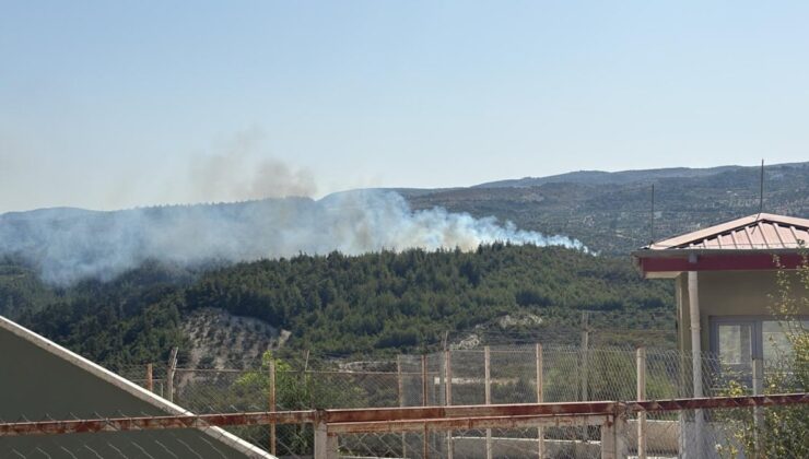 Hatay yangını kontrol altına alındı