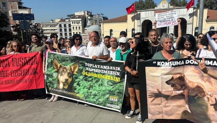 Hayvan Hakları Savunucularından Valilik önünde protesto