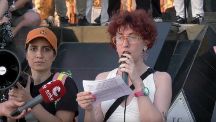 İstanbul Valiliği genelge yayımladı, hayvanseverler ayaklandı