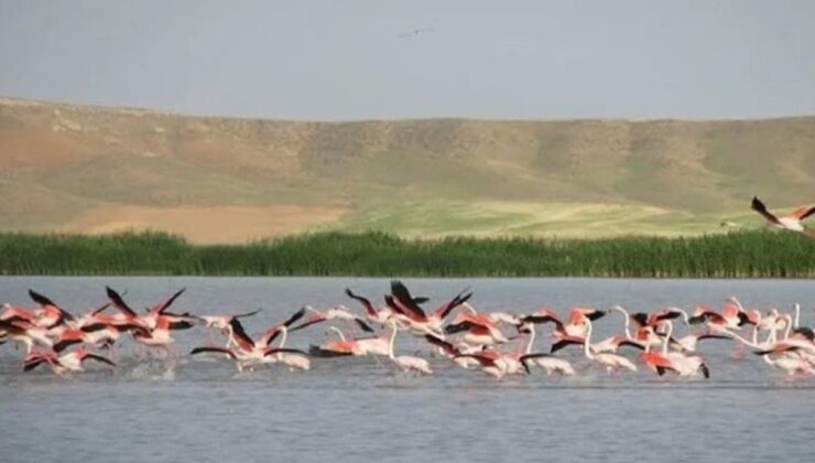 Koç, Kırşehir’e 3 söz verdi