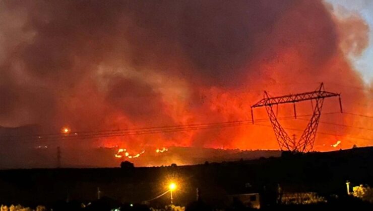 Manisa yangını 16 saatte kontrol altına alındı