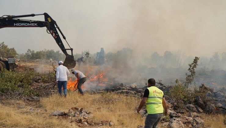 Mardin Dargeçit’te orman yangını 5 saatte kontrol altına alındı