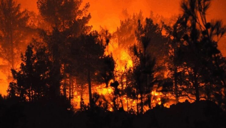 Mersin 3 gündür yanıyor: Binlerce kişi tahliye edildi