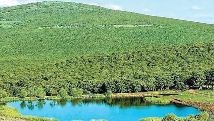 Meşe ormanlarına maden ocağı ruhsatı