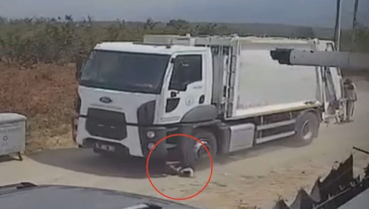 Sakarya’da kan donduran görüntü: Ezerek öldürdükleri köpekleri çöp kamyonuna atıp götürdüler