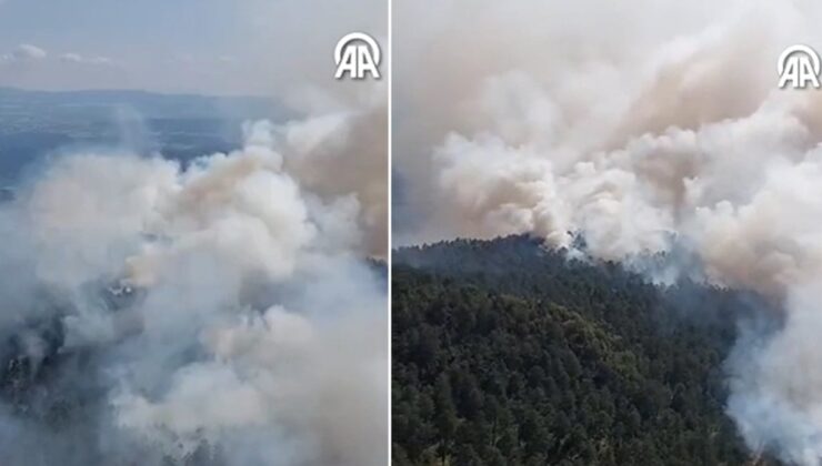 Sinop’taki orman yangınına havadan müdahale başladı!