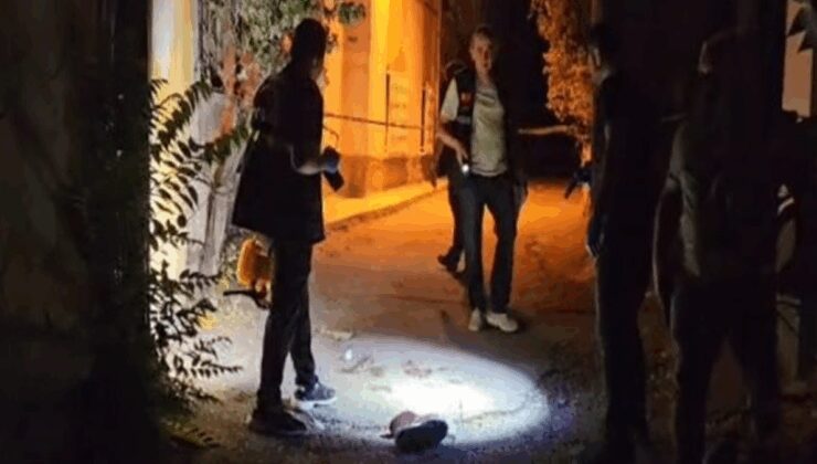 Sokak ortasında dehşet: Pompalı tüfekle vurdular