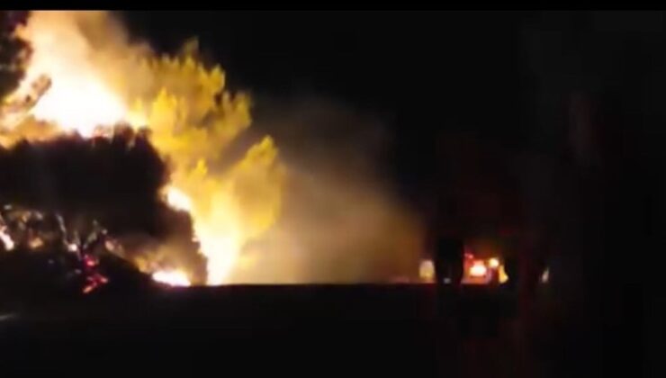 Urla’da orman yangını: Ekipler müdahale ediyor