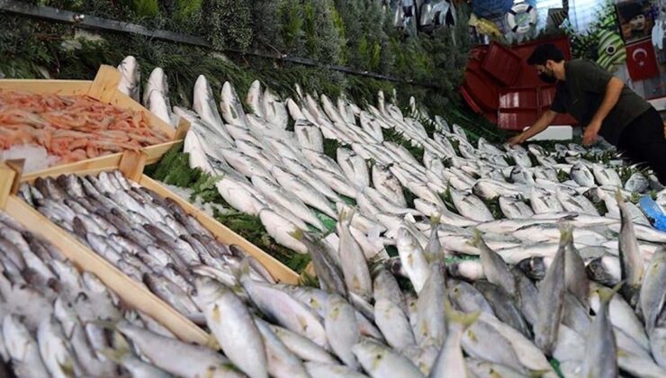 Uzmanlar açıkladı: İşte Türkiye’de yenilebilecek en sağlıklı balık türü